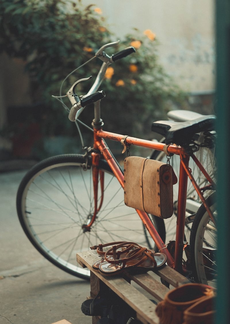 Hanging bike